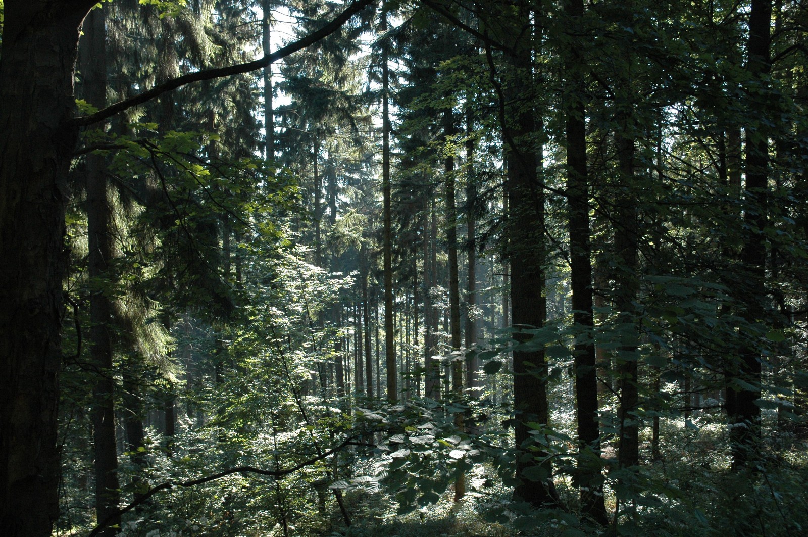 Photo from 2005-09-22T16:21:09.200000