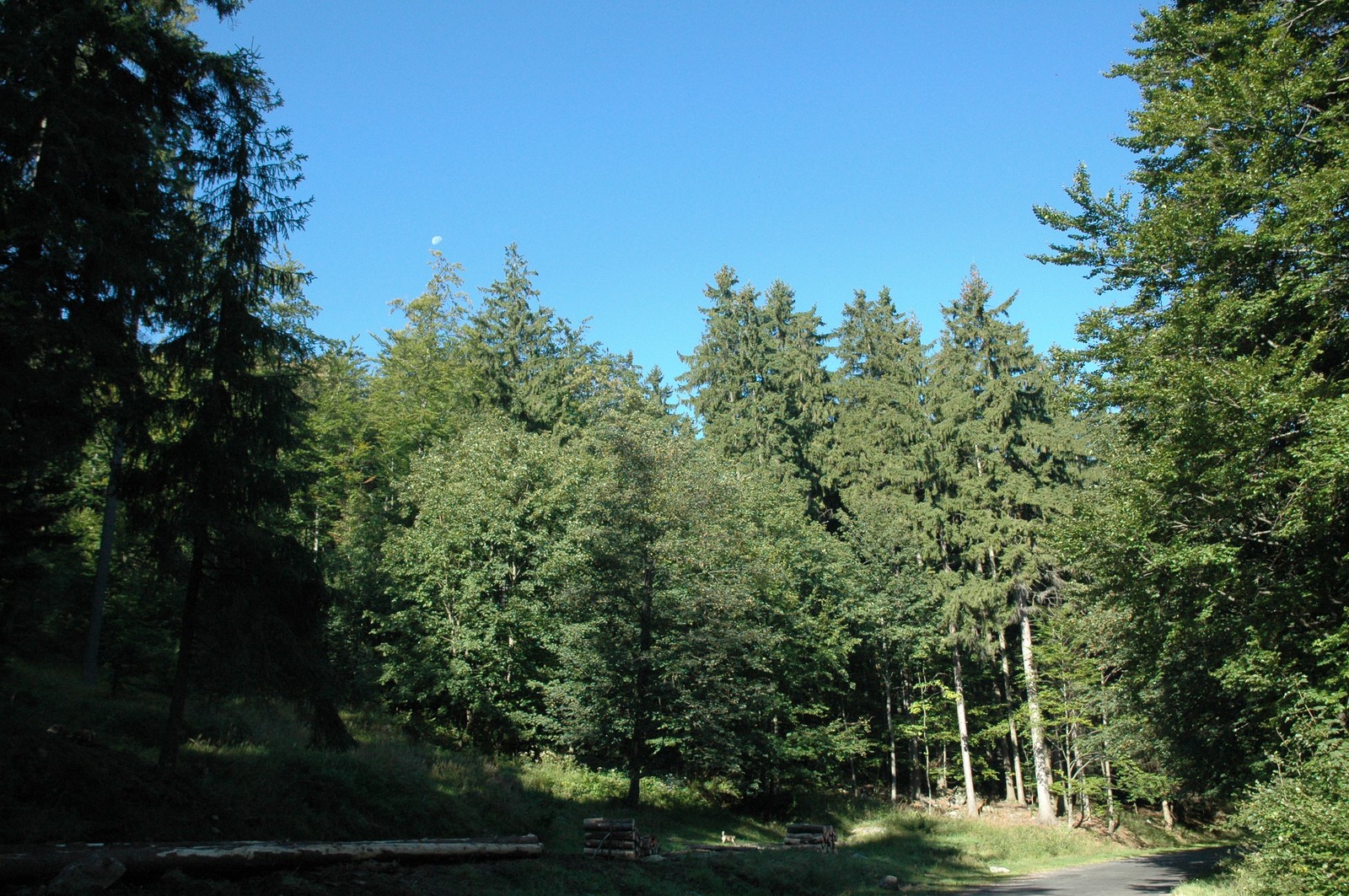 Photo from 2005-09-22T16:27:47.100000