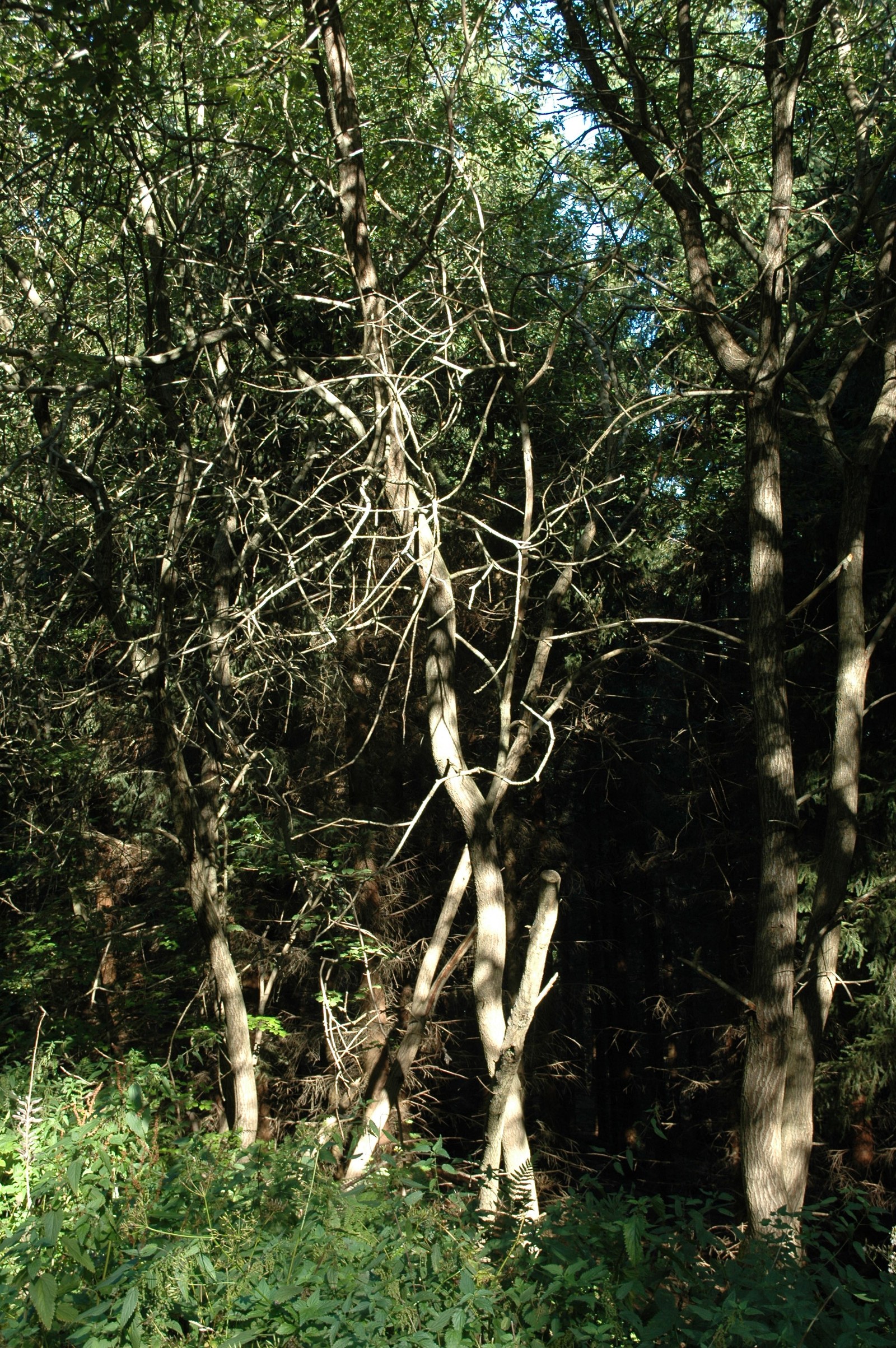 Photo from 2005-09-22T16:39:55.900000