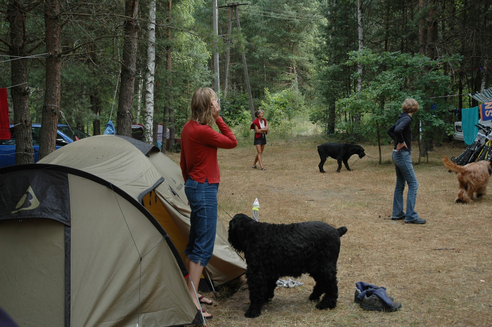 Photo from 2005-07-15T17:35:43.100000