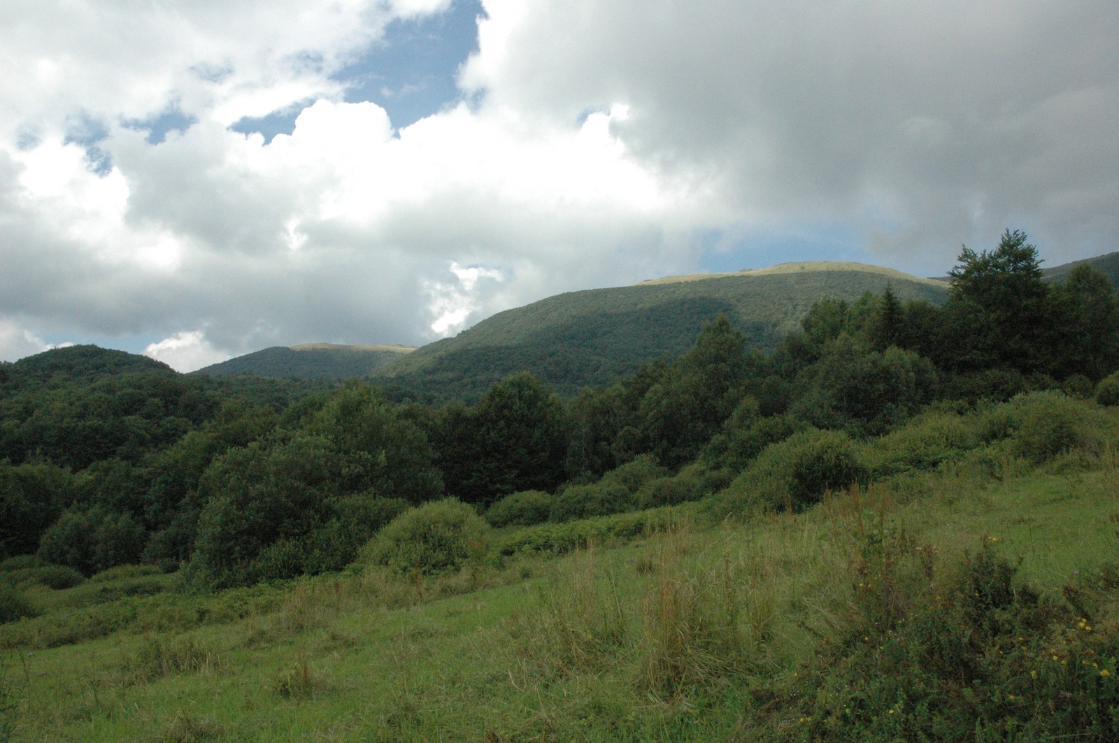 Photo from 2006-08-11T20:16:51.800000