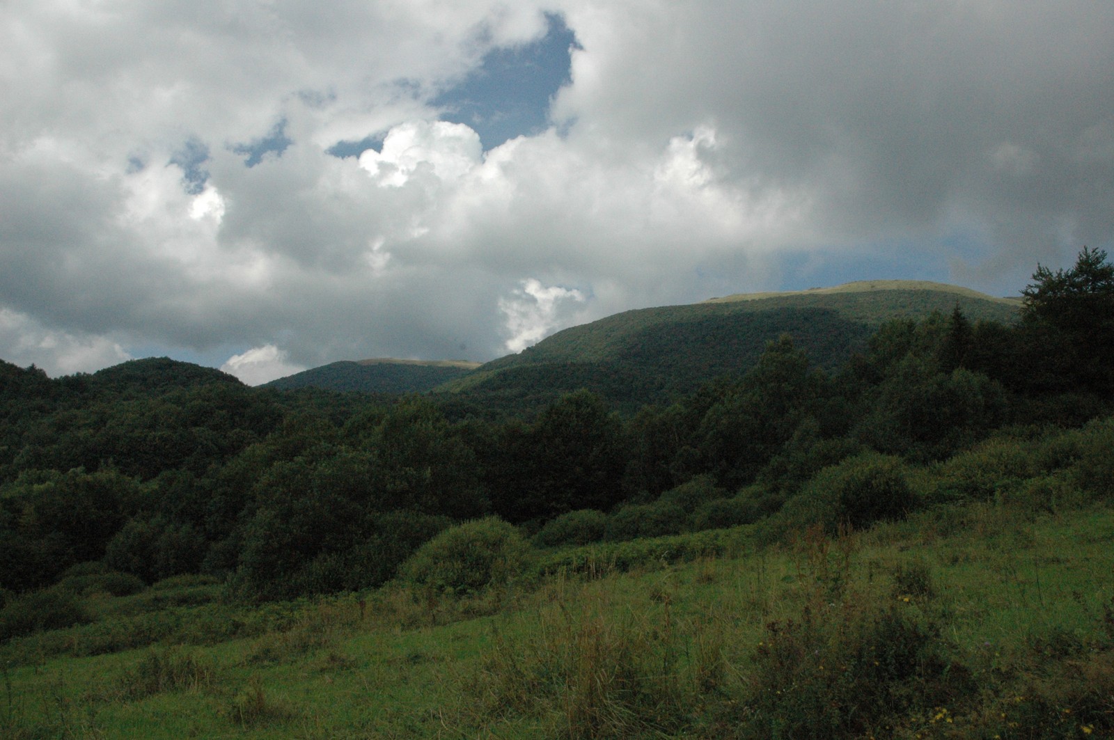 Photo from 2006-08-11T20:17:02.900000