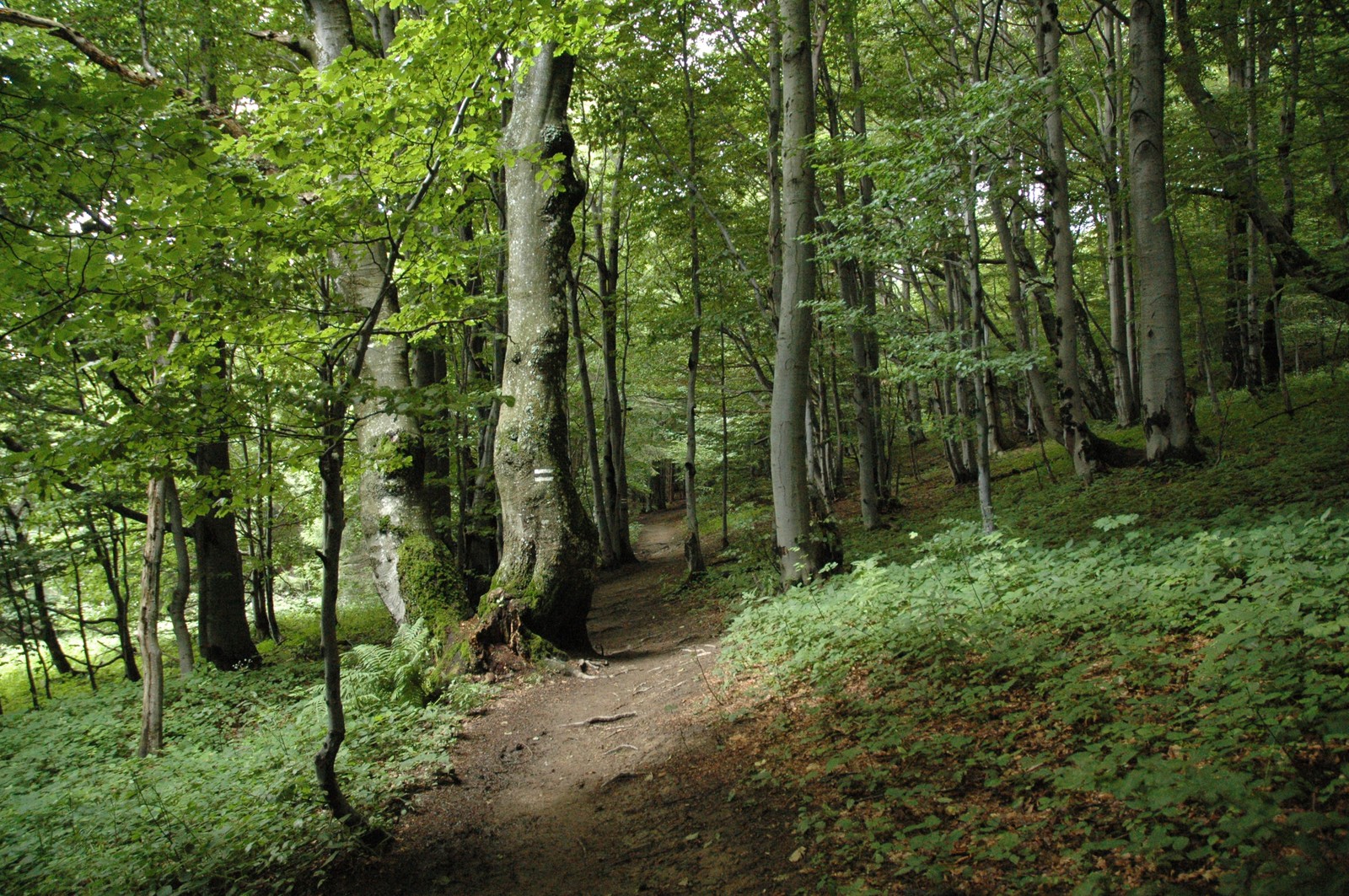 Photo from 2006-08-11T20:52:30.900000