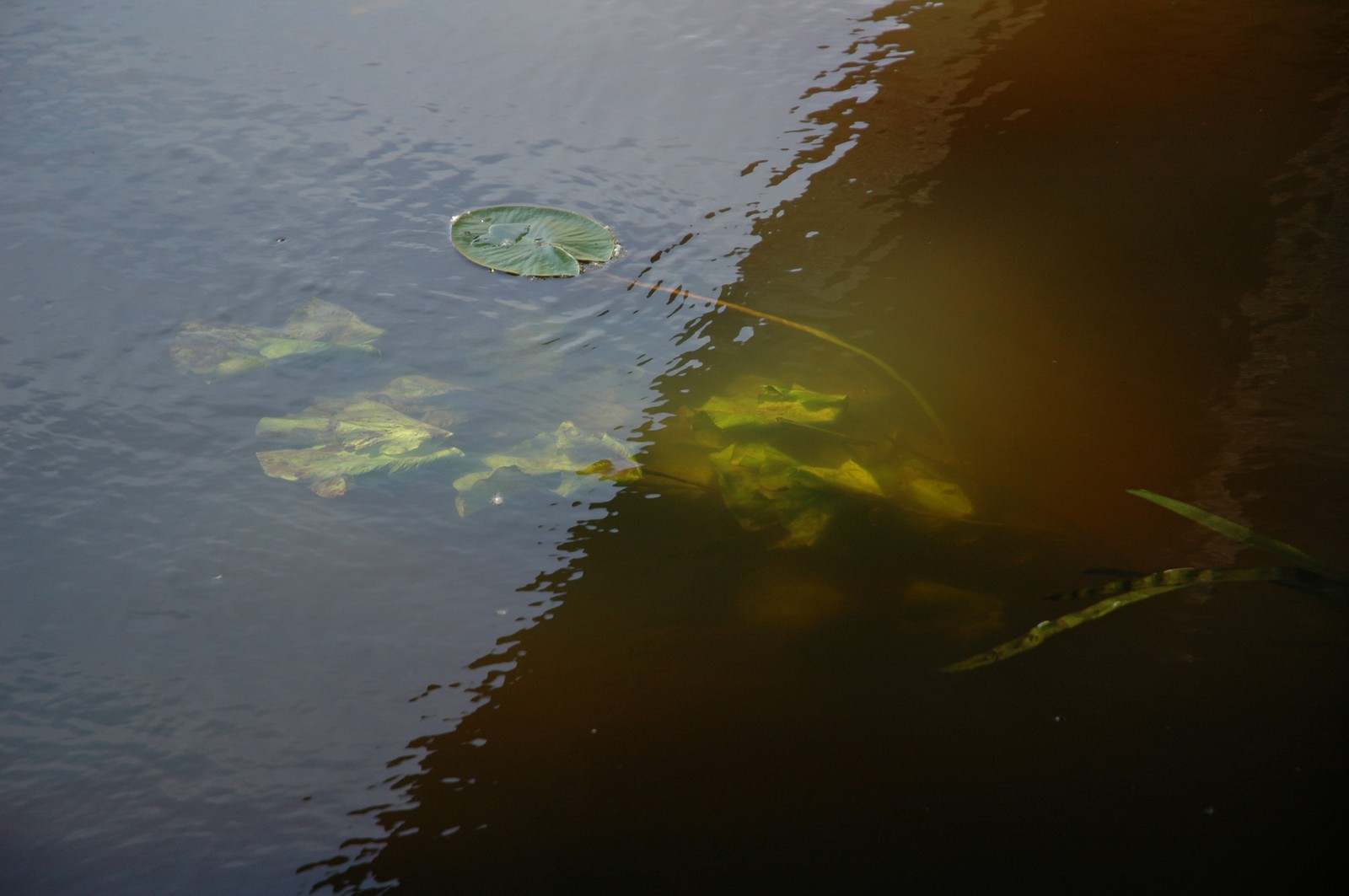 Photo from 2006-06-10T21:49:46.100000