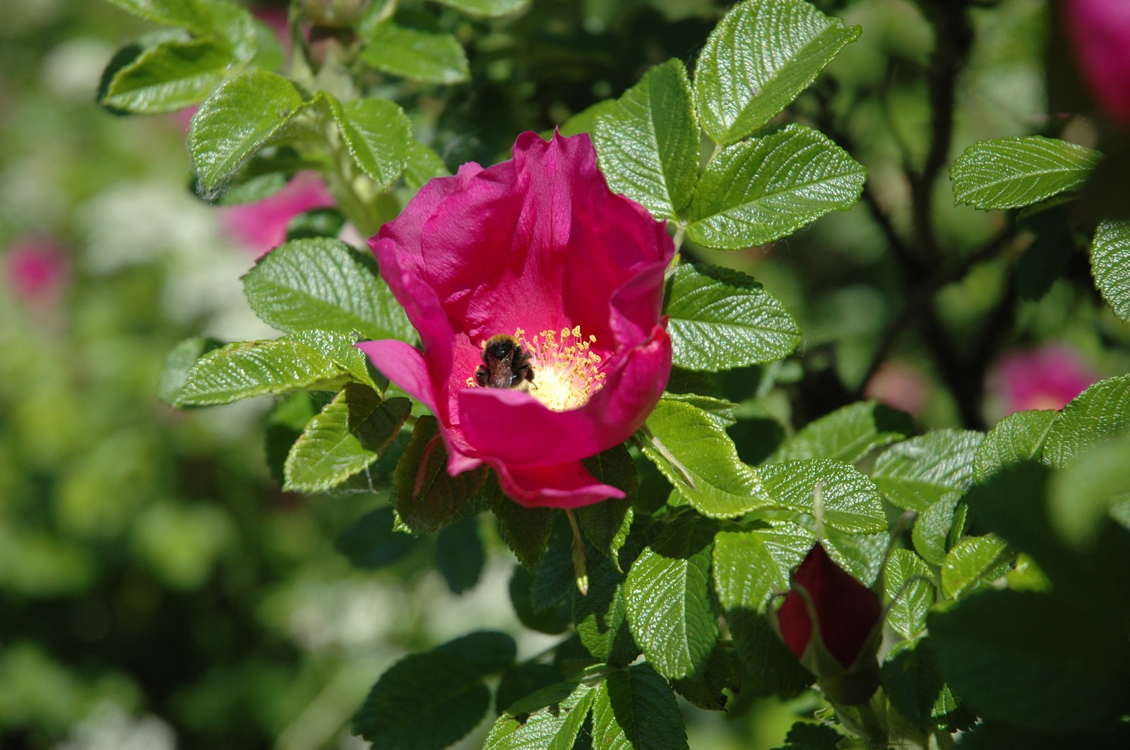 Photo from 2006-06-10T21:55:38.900000