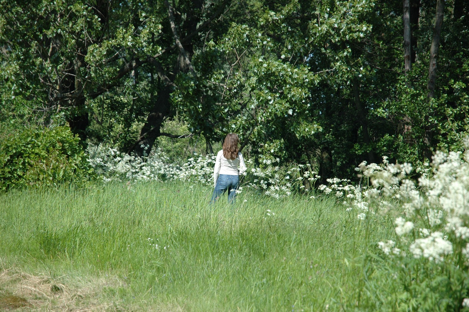 Photo from 2006-06-10T21:56:03.700000