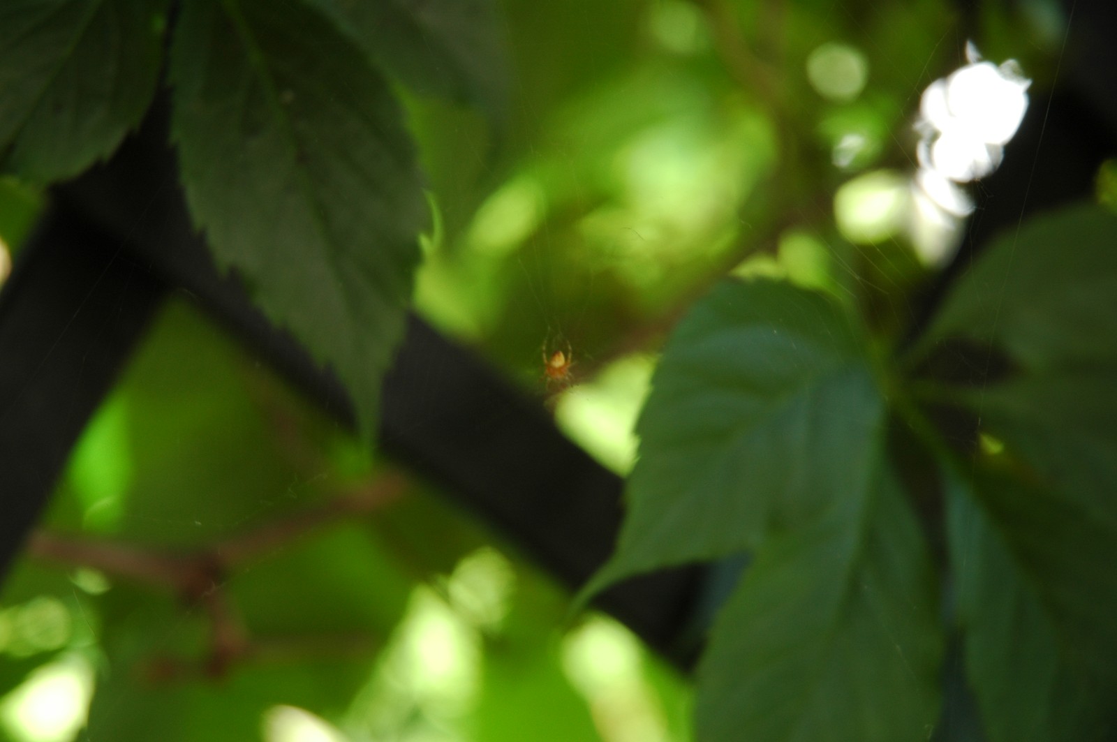 Photo from 2006-07-22T21:38:26.100000