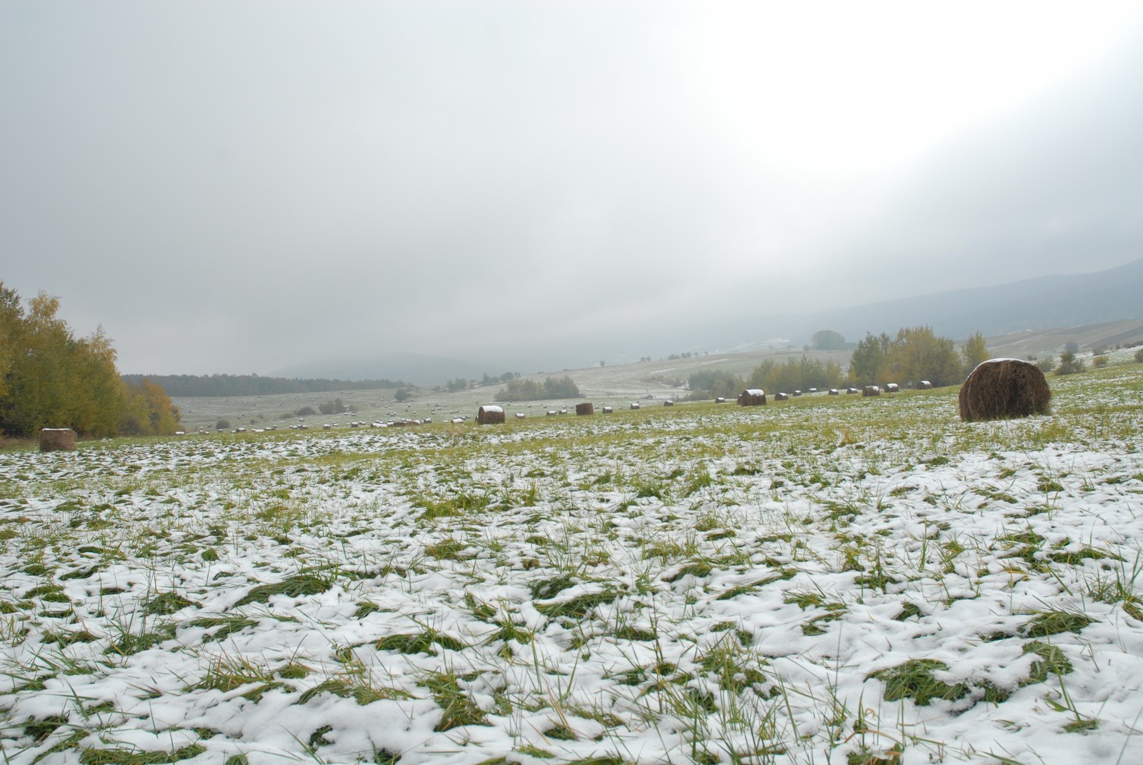 Photo from 2007-10-21T11:56:00.570000