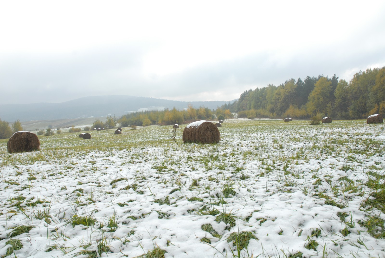 Photo from 2007-10-21T11:56:03.240000