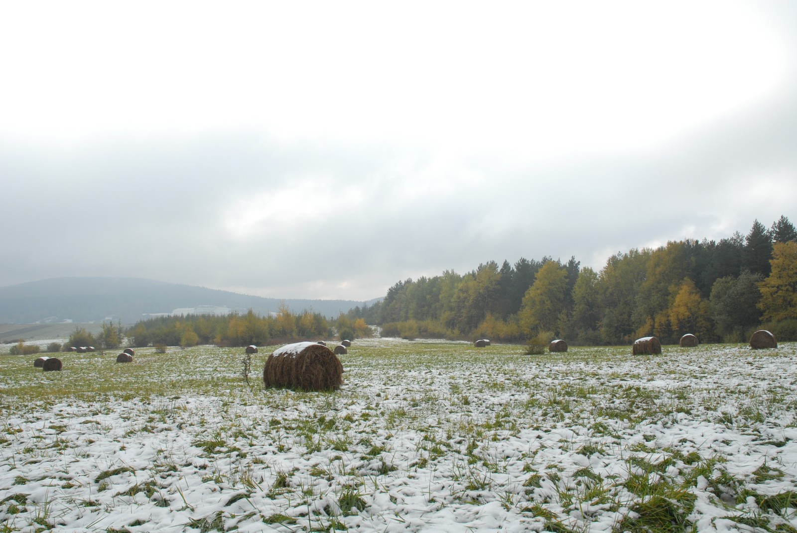 Photo from 2007-10-21T11:56:10.900000