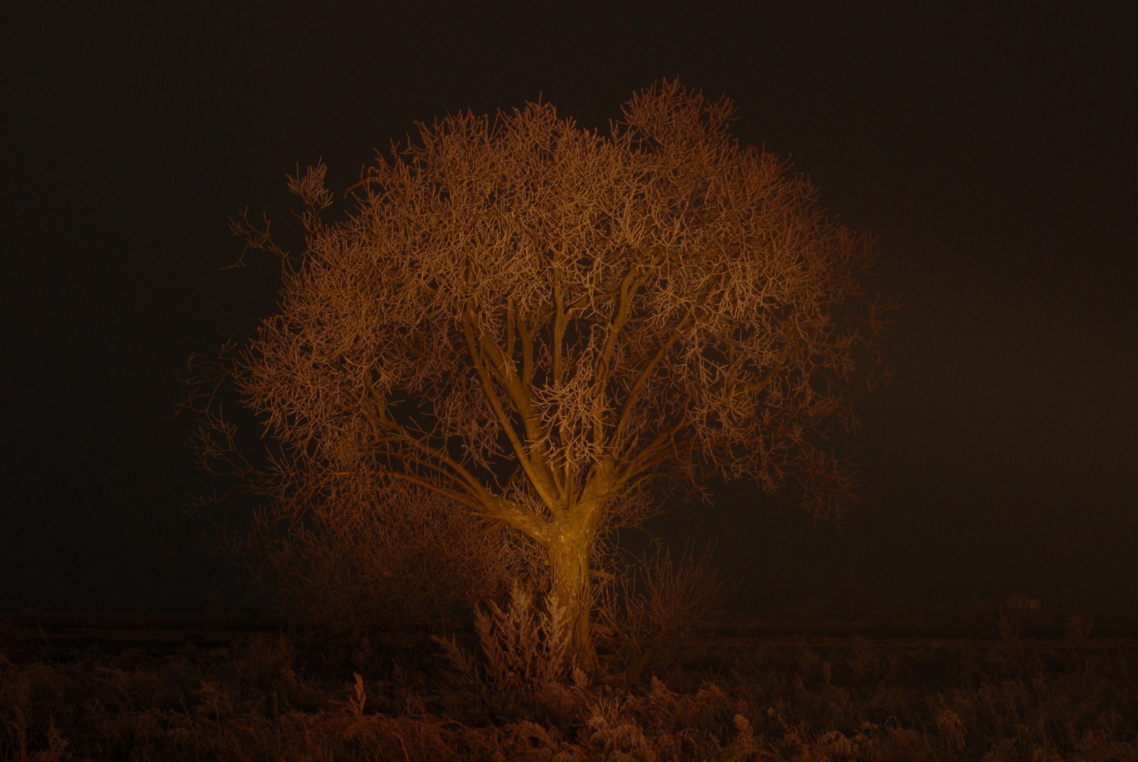 Photo from 2007-12-22T17:55:58.240000