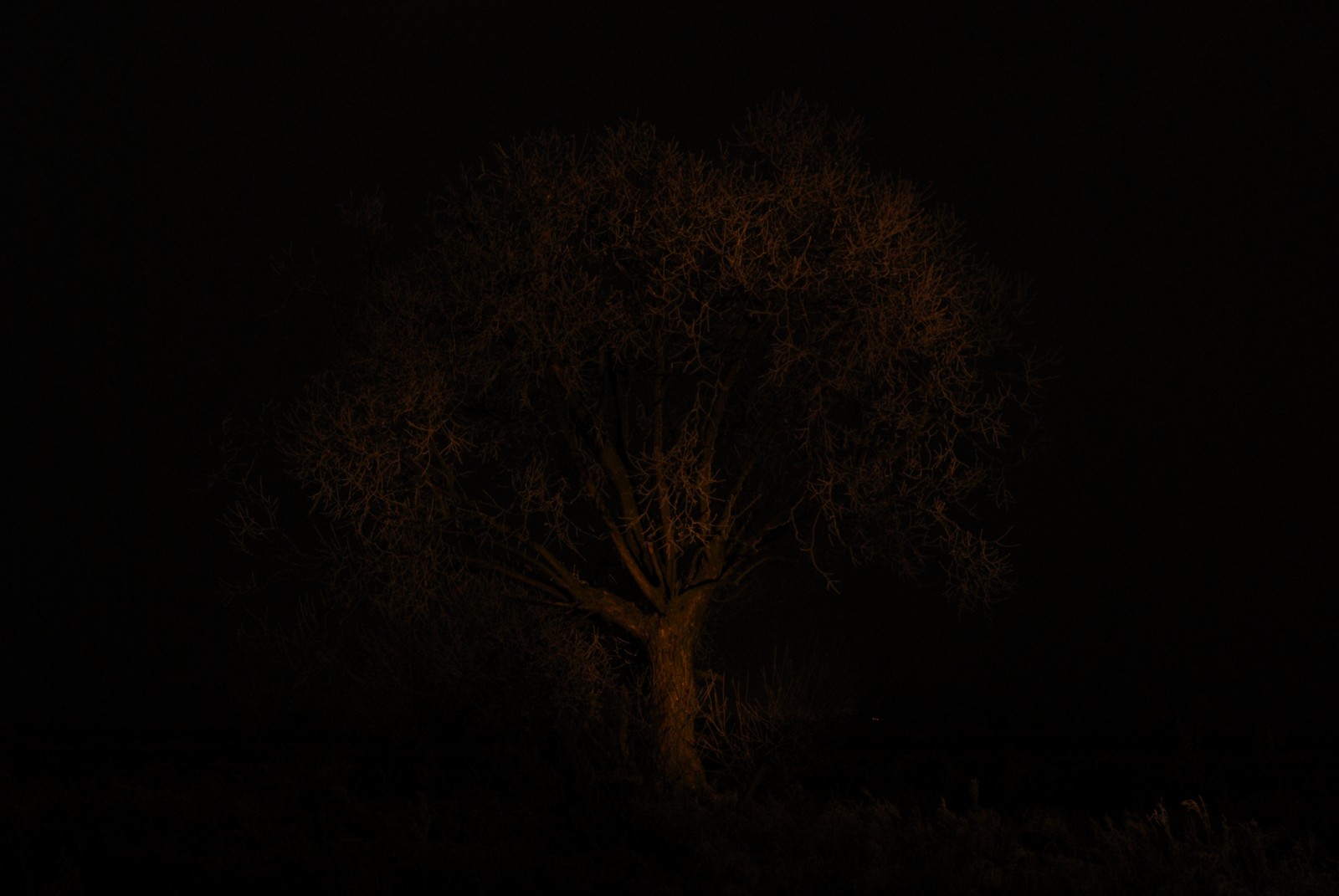 Photo from 2007-12-22T17:57:29.570000