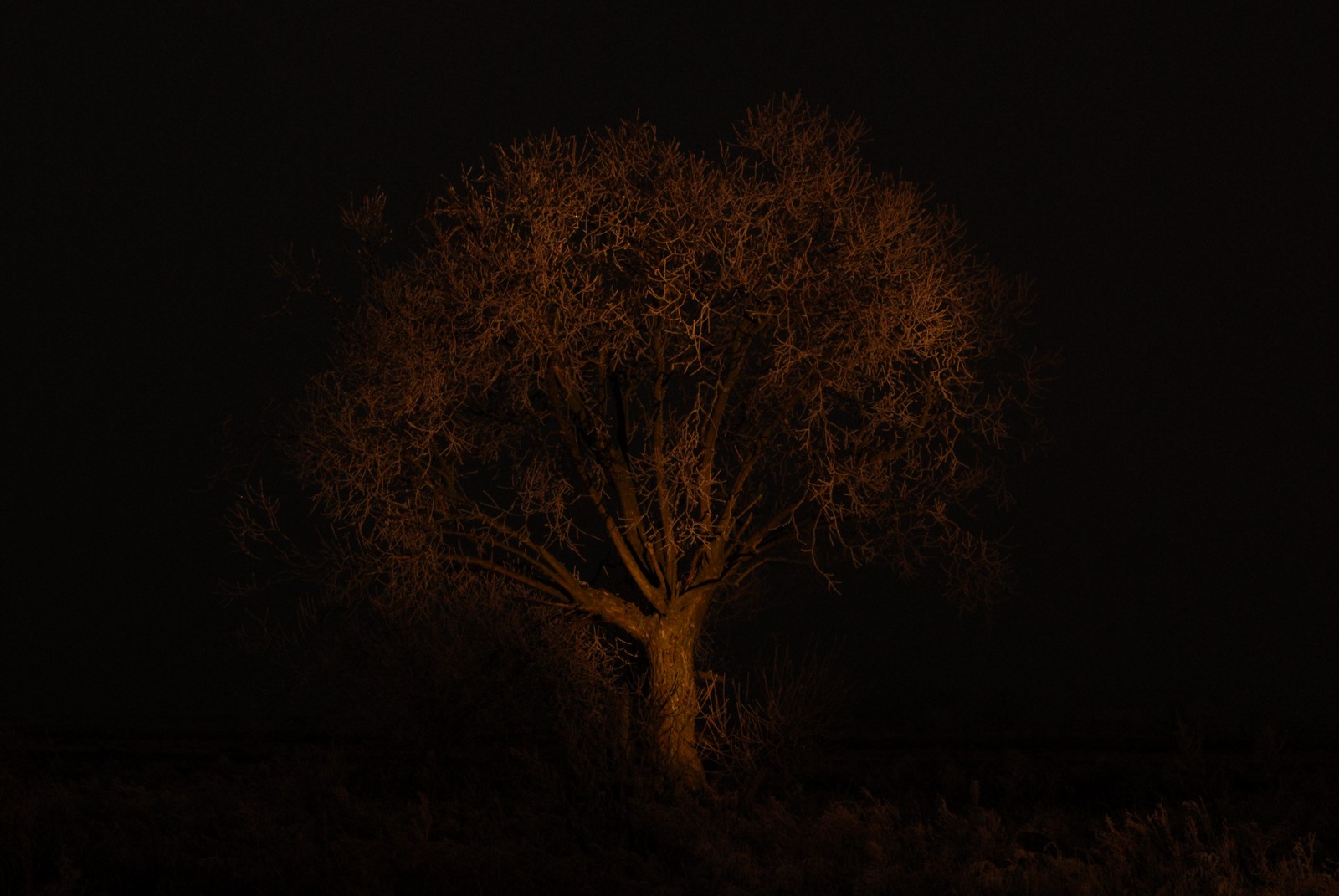 Photo from 2007-12-22T17:58:45.570000