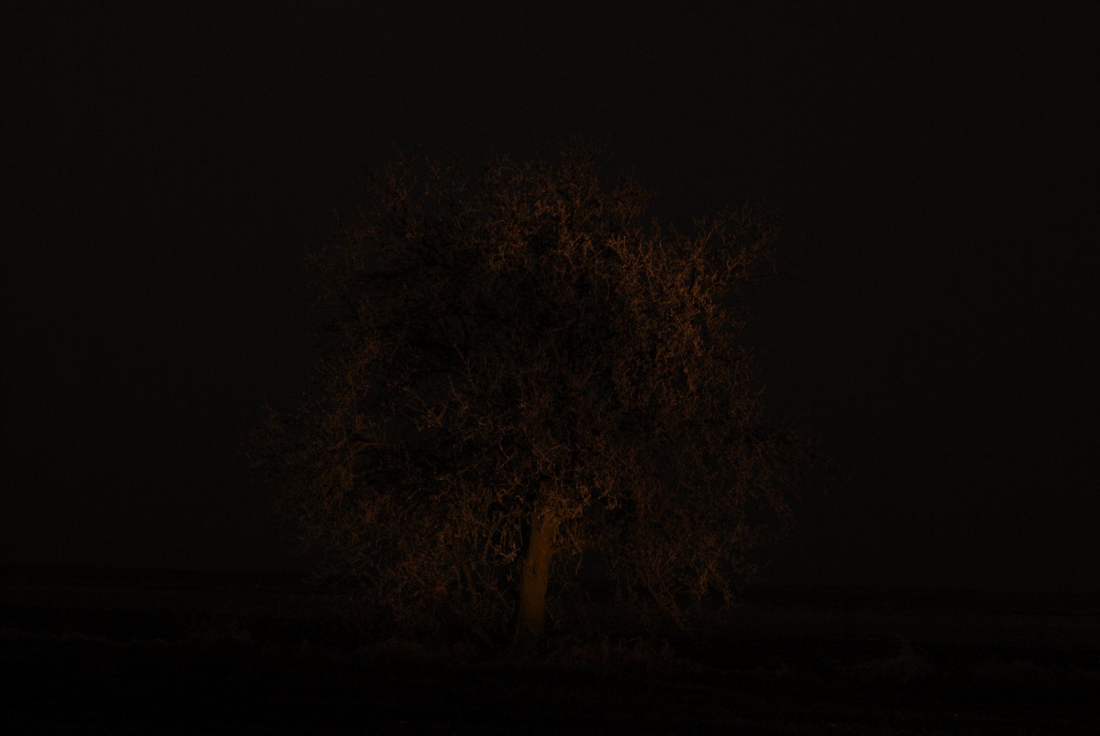 Photo from 2007-12-22T18:06:19.080000