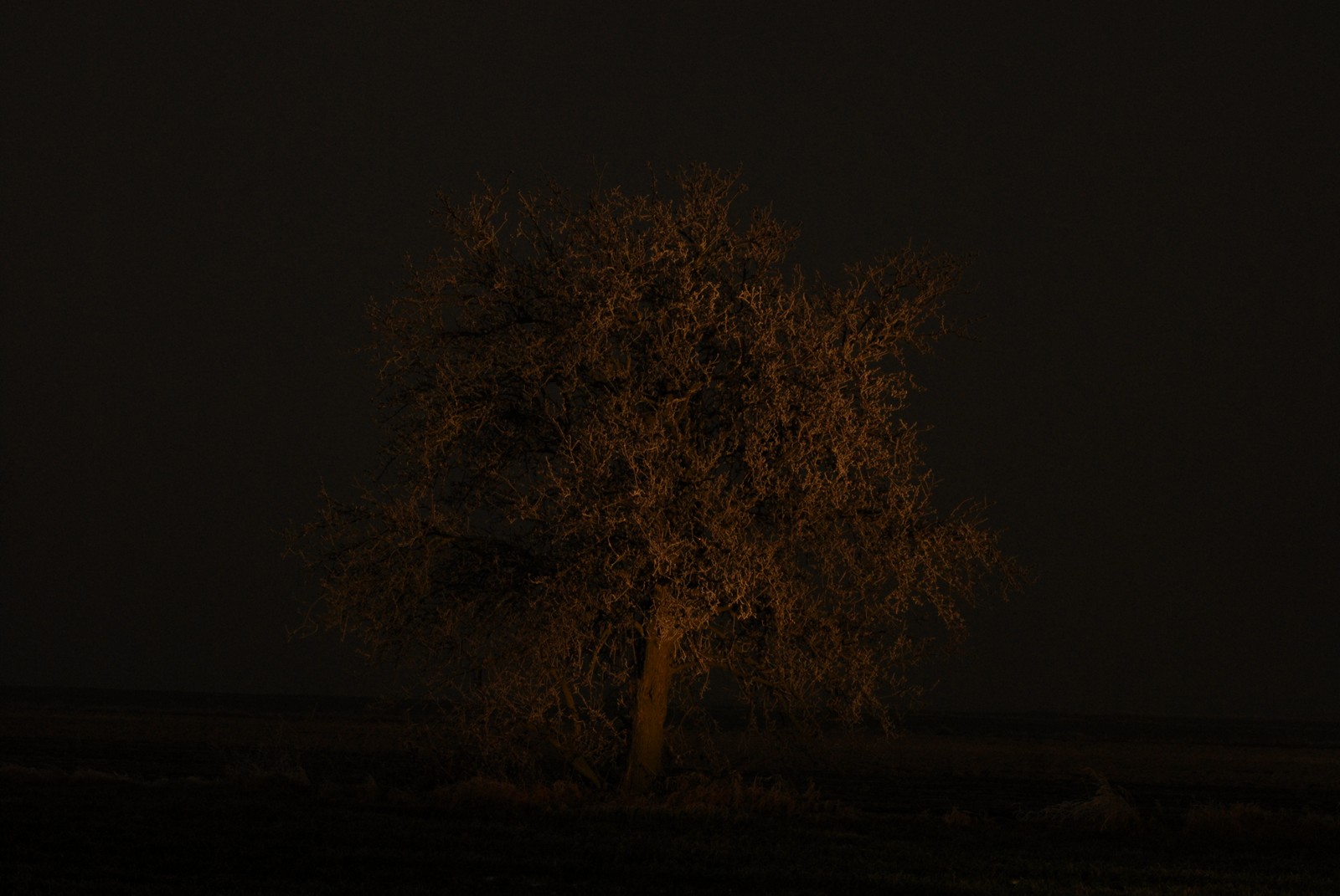 Photo from 2007-12-22T18:08:51