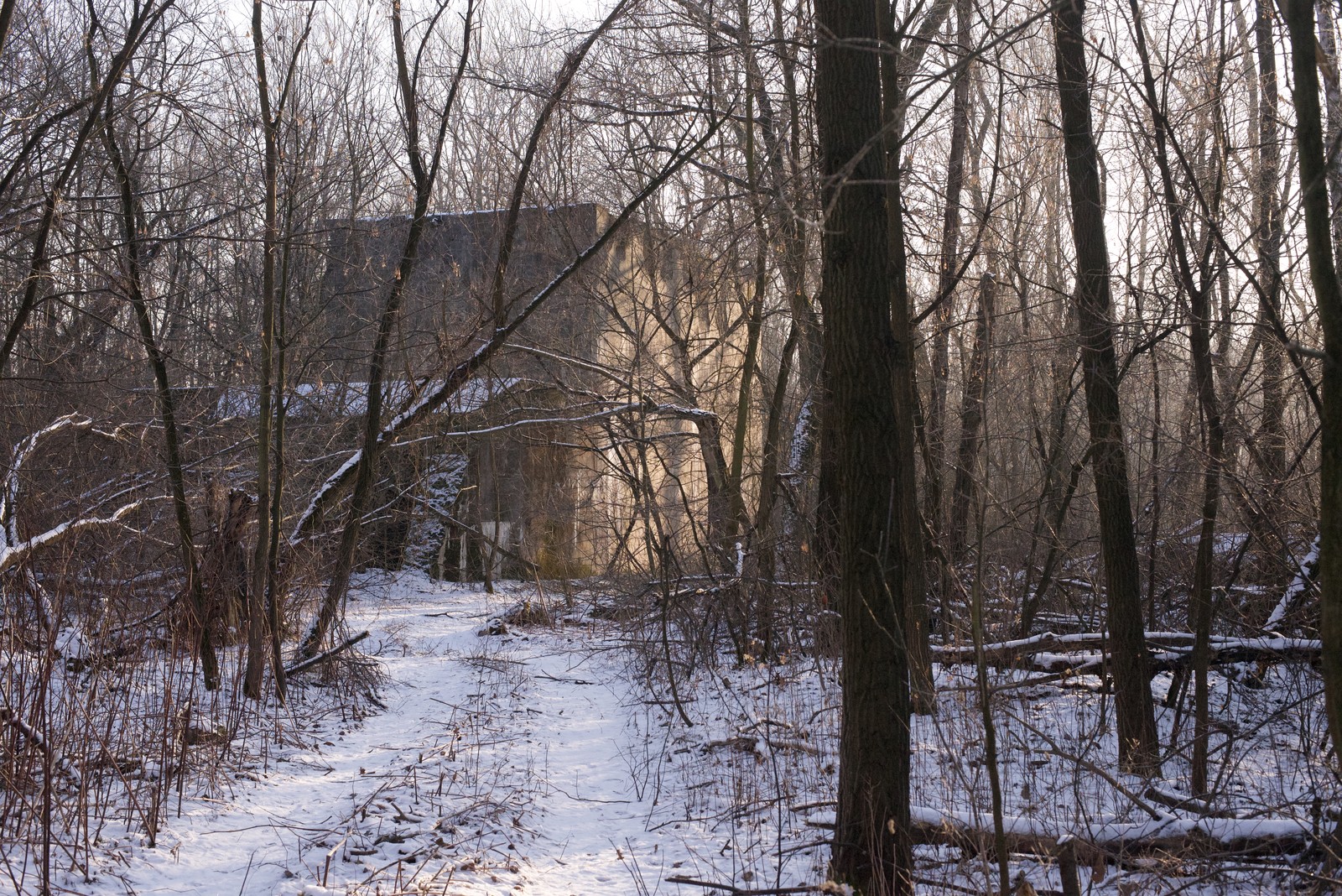 Photo from 2008-05-23T12:51:18.900000