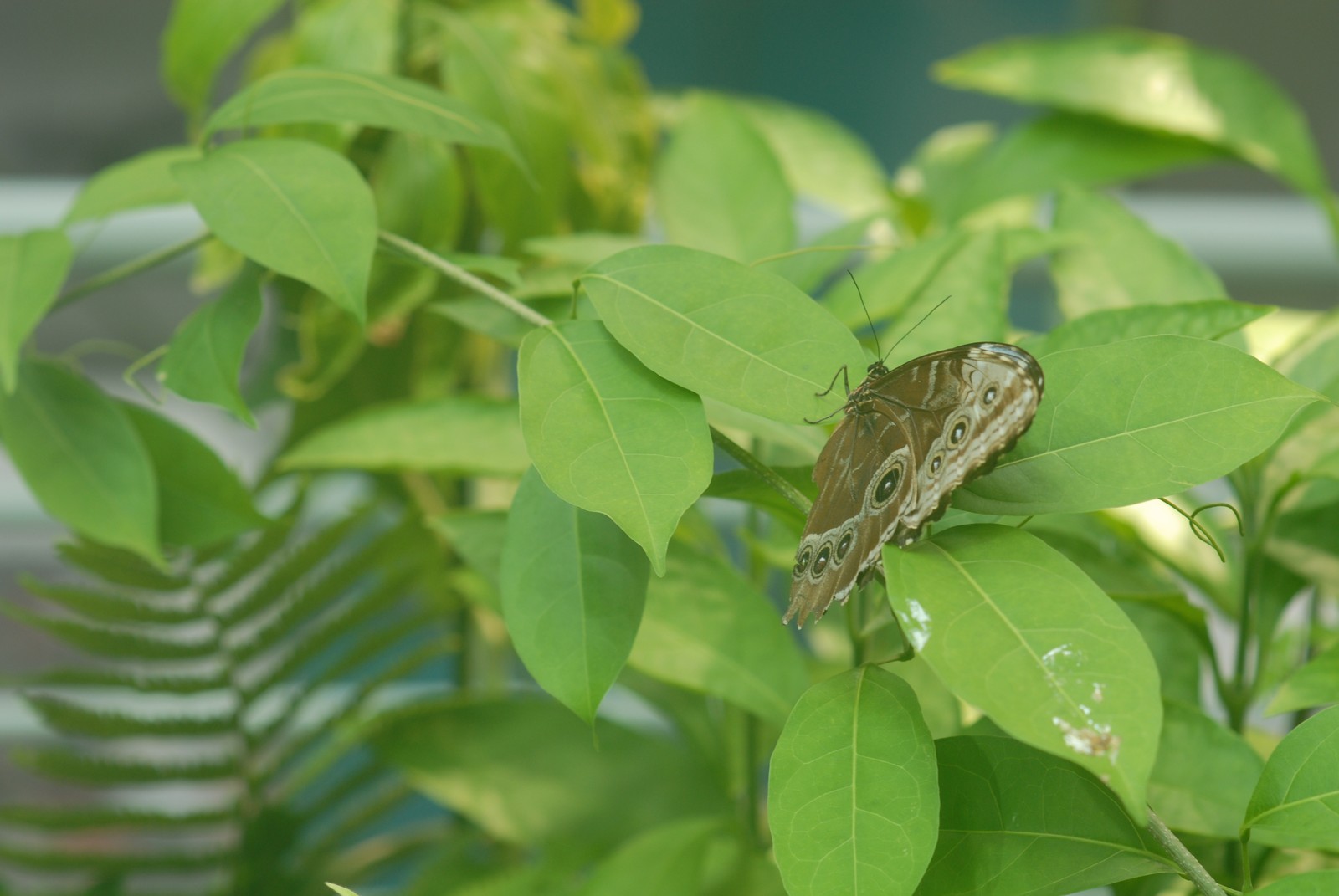 Photo from 2008-05-23T12:59:11.160000