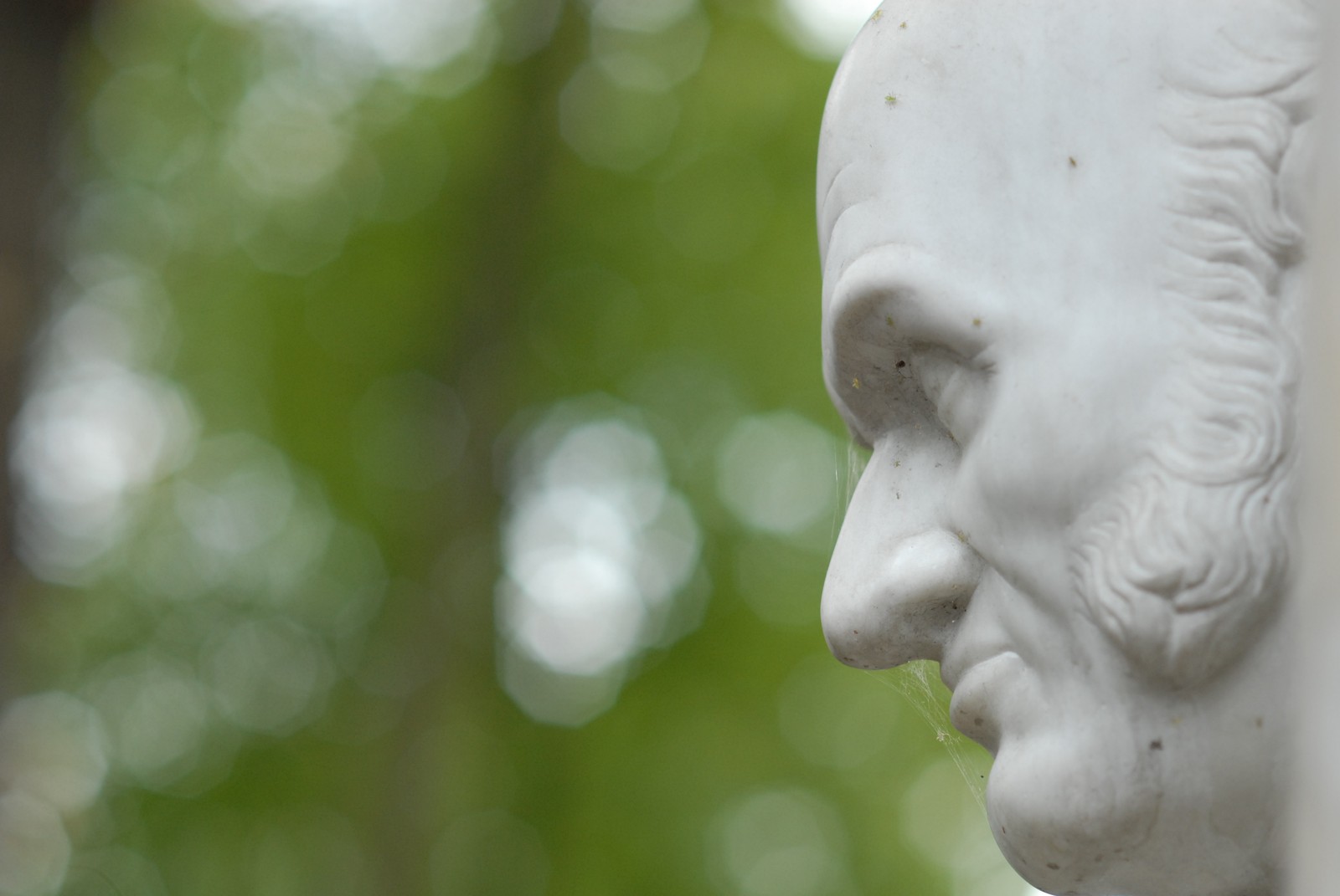 Photo from 2009-10-01T13:57:07.490000