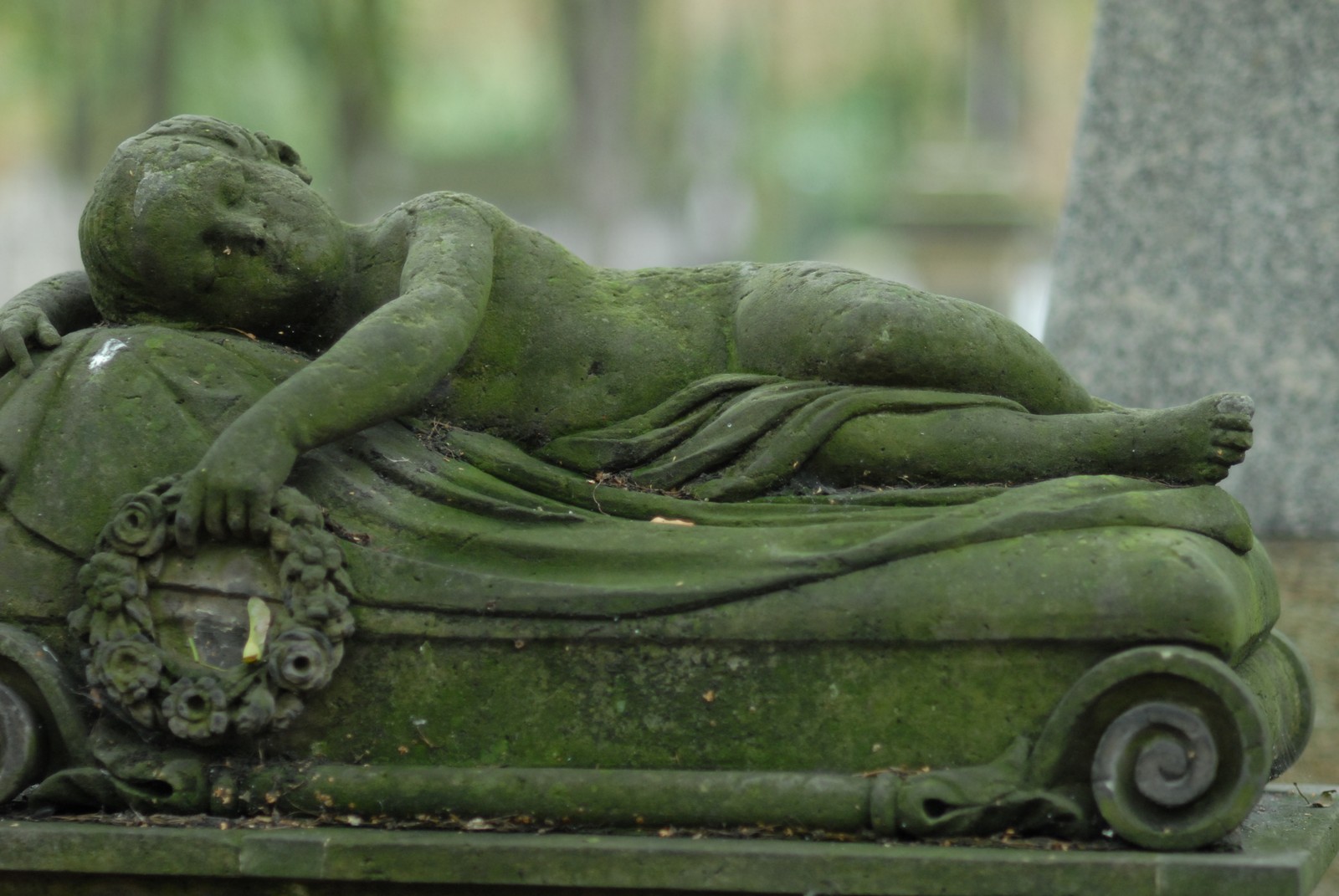 Photo from 2009-10-01T13:59:09.080000