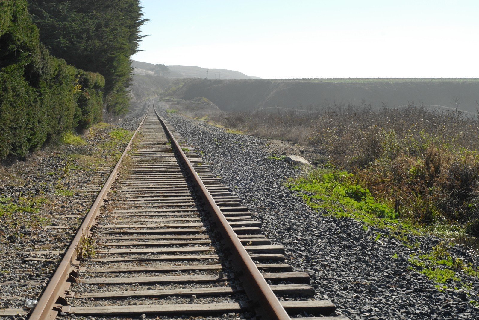 Photo from 2010-10-31T20:03:16.650000