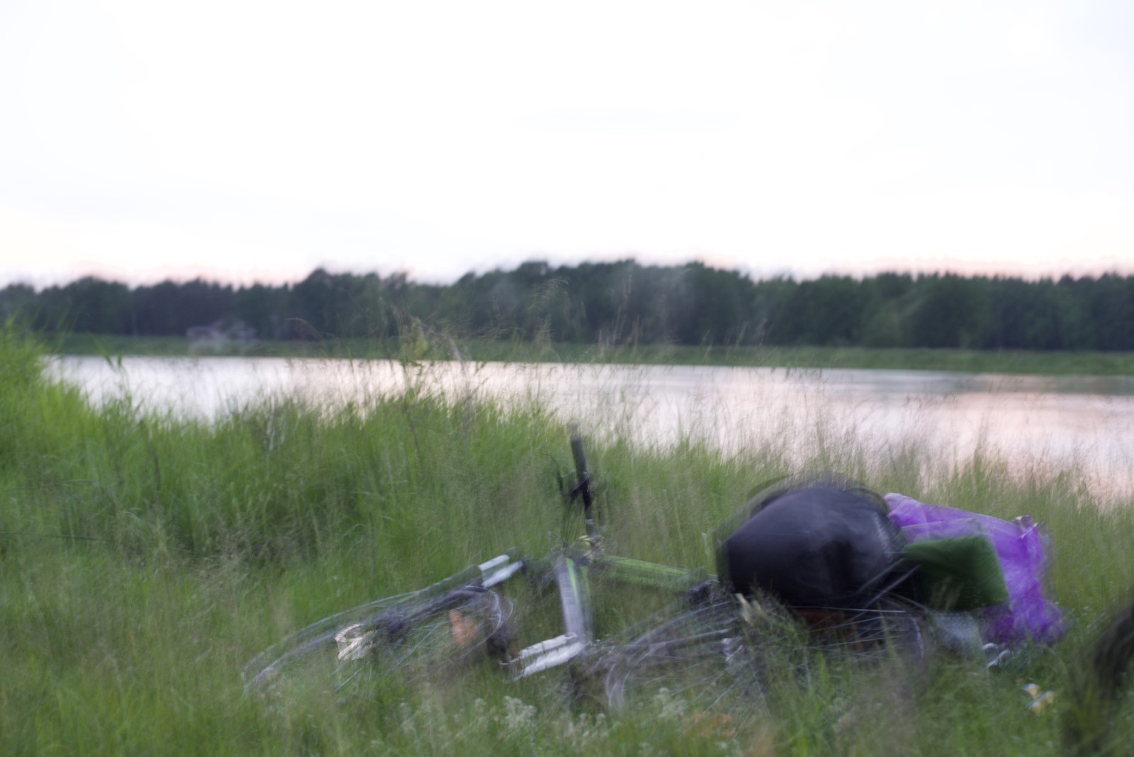 Photo from 2017-06-10T12:25:32.100000