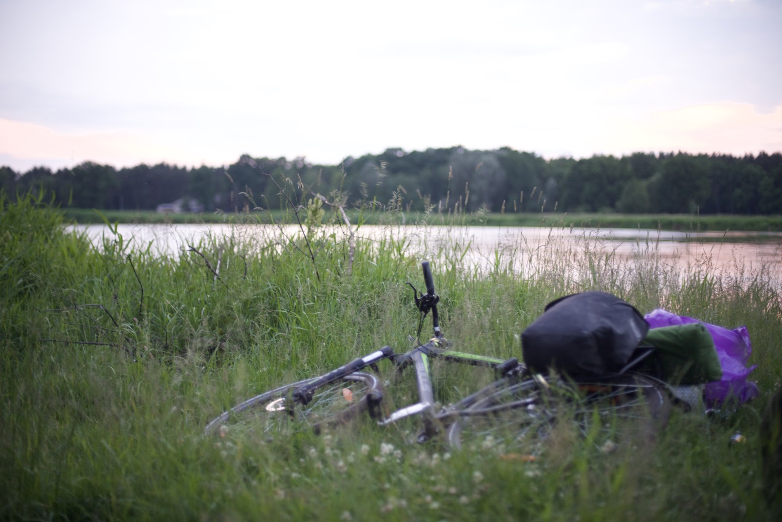 Photo from 2017-06-10T12:25:45.500000