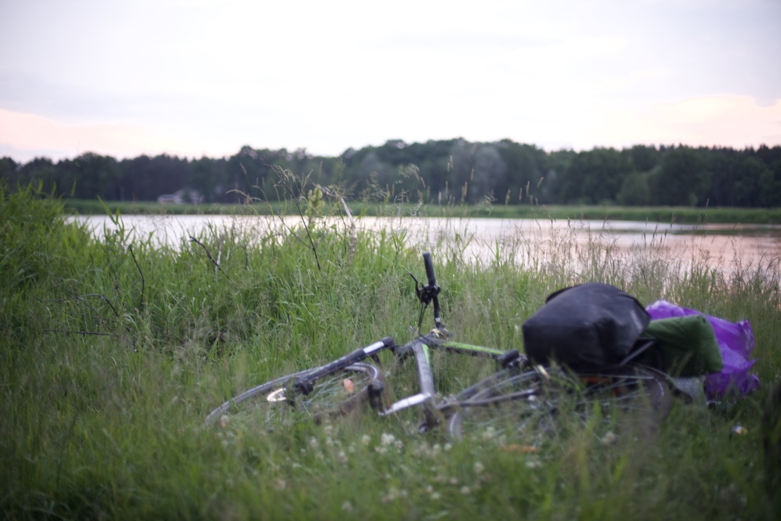 Photo from 2017-06-10T12:25:46.300000