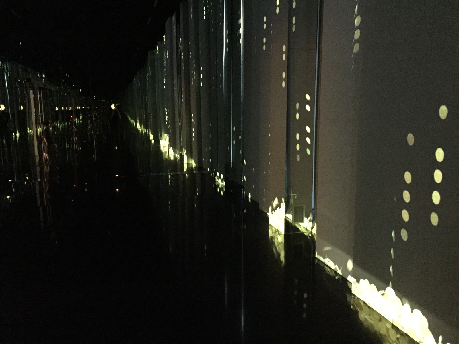 Photo from 2018-04-29T15:36:01.666000