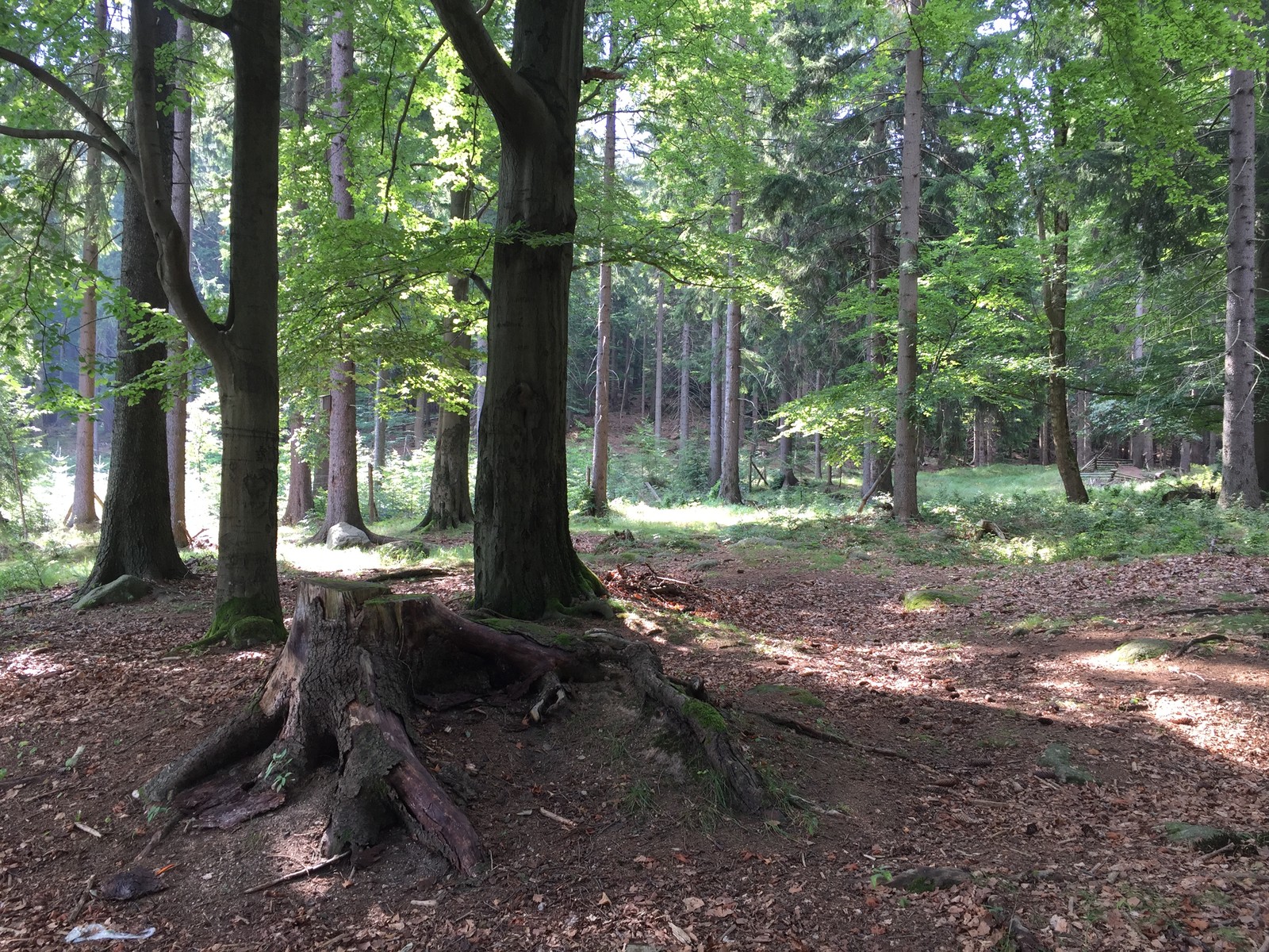 Photo from 2018-08-04T09:48:14.420000