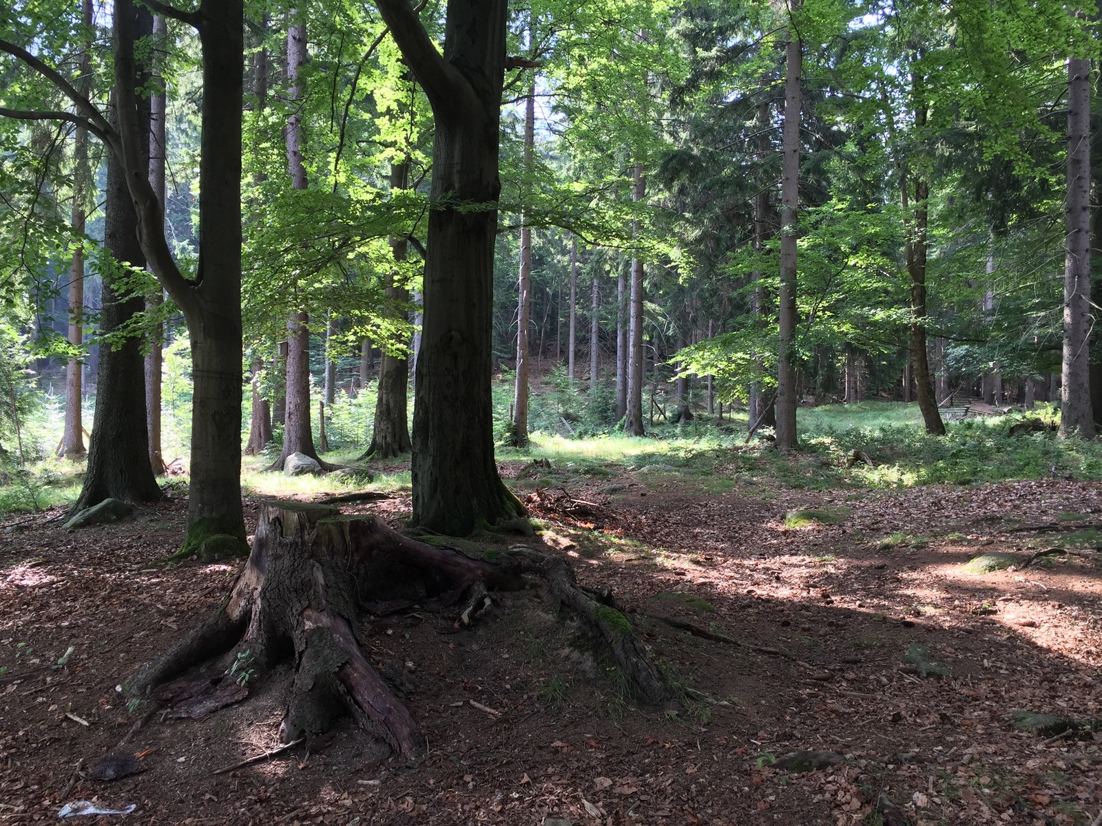 Photo from 2018-08-04T09:48:14.520000