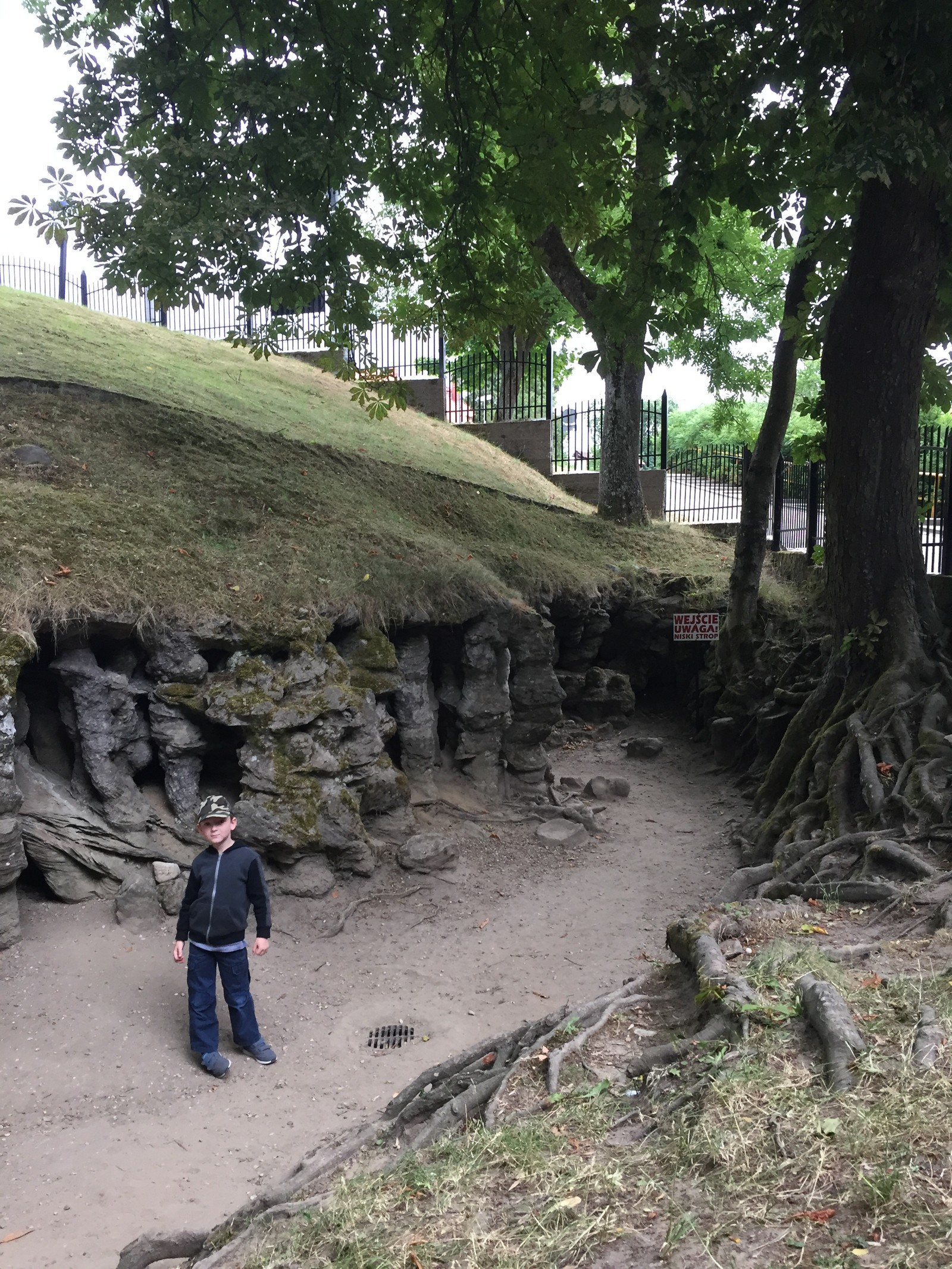Photo from 2018-07-09T13:07:06.552000