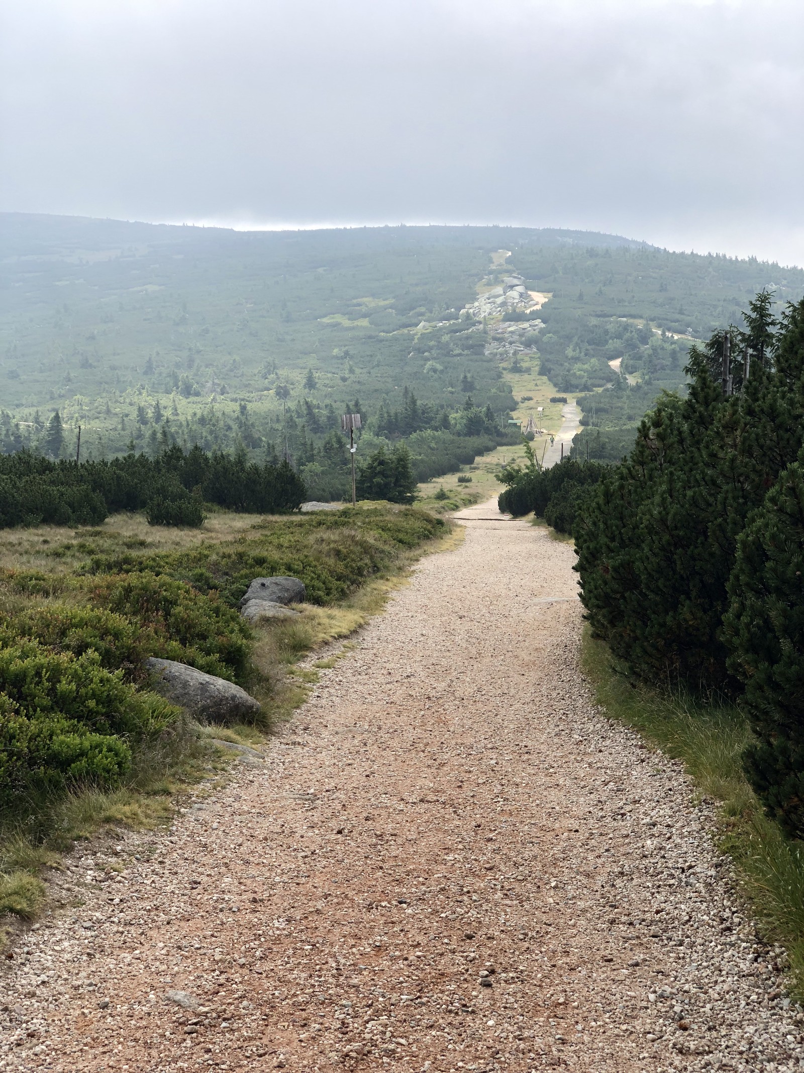 Photo from 2019-07-23T09:43:43.084000