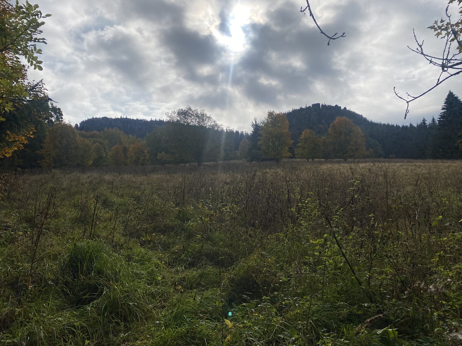 Photo from 2022-10-07T10:26:52.362000