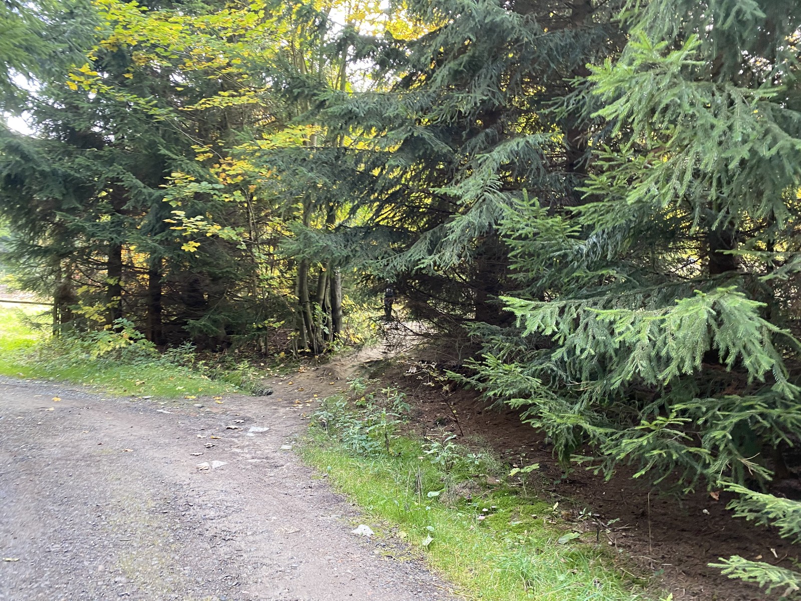 Photo from 2022-10-07T10:27:56.256000