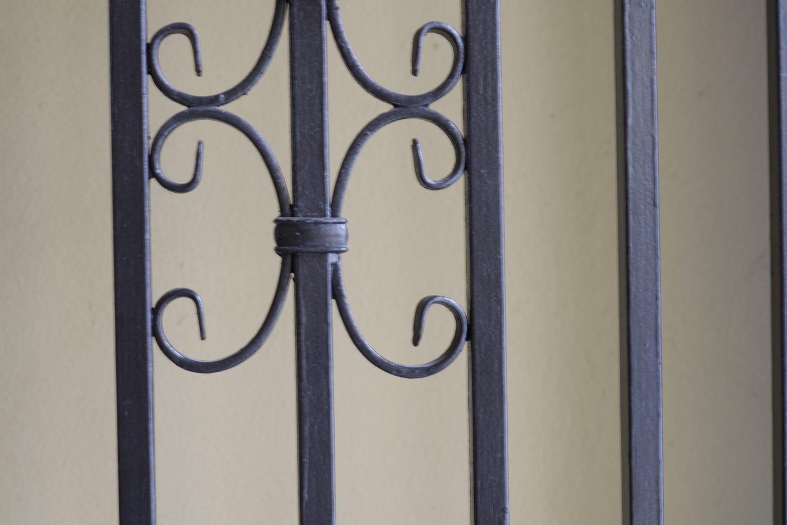 Photo from 2023-02-22T03:12:15.400000