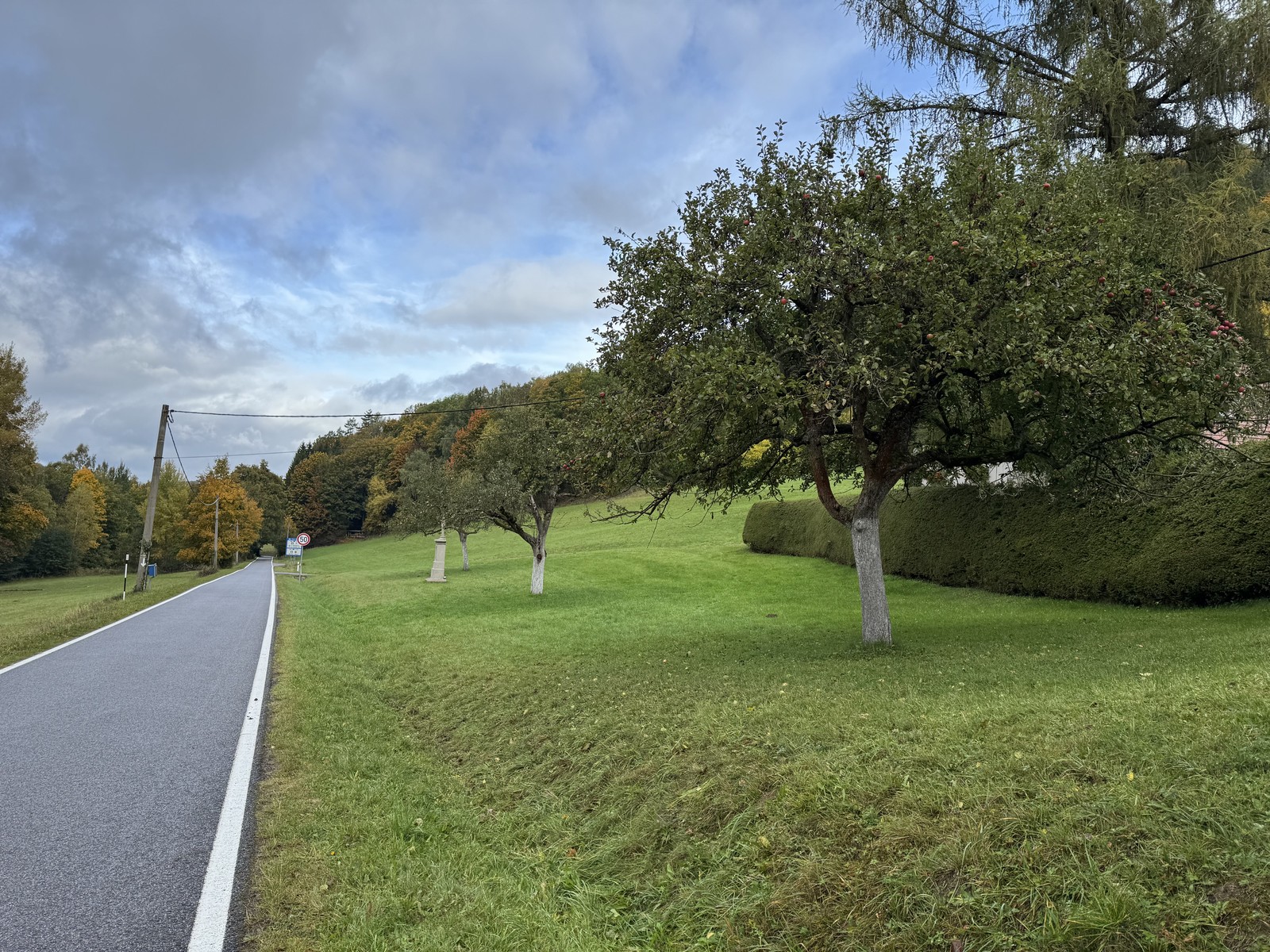 Photo from 2025-10-10T11:16:23.285000