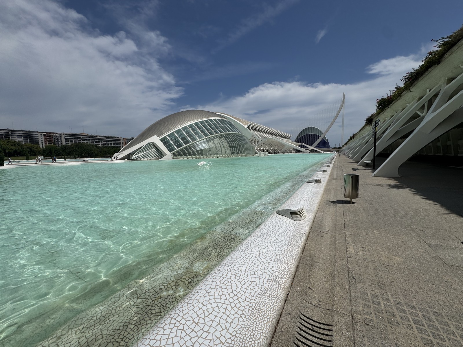 Photo from 2025-07-23T14:43:01.158000