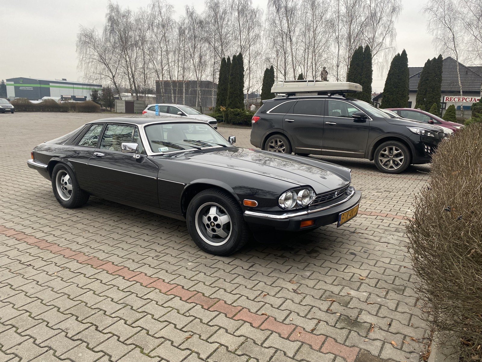 Photo from 2023-01-26T14:16:41.720000