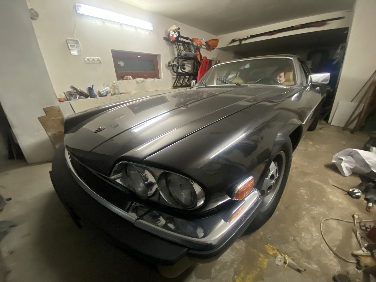 Photo from 2023-01-28T21:00:24.784000