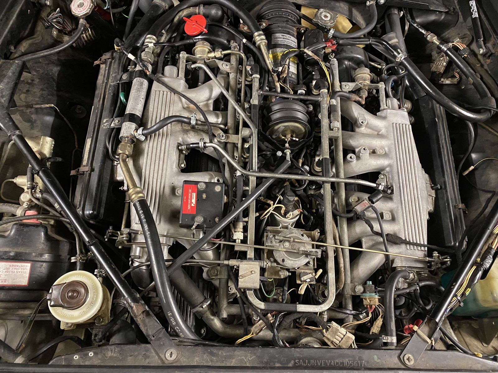 Photo from 2023-01-30T23:24:31.209000