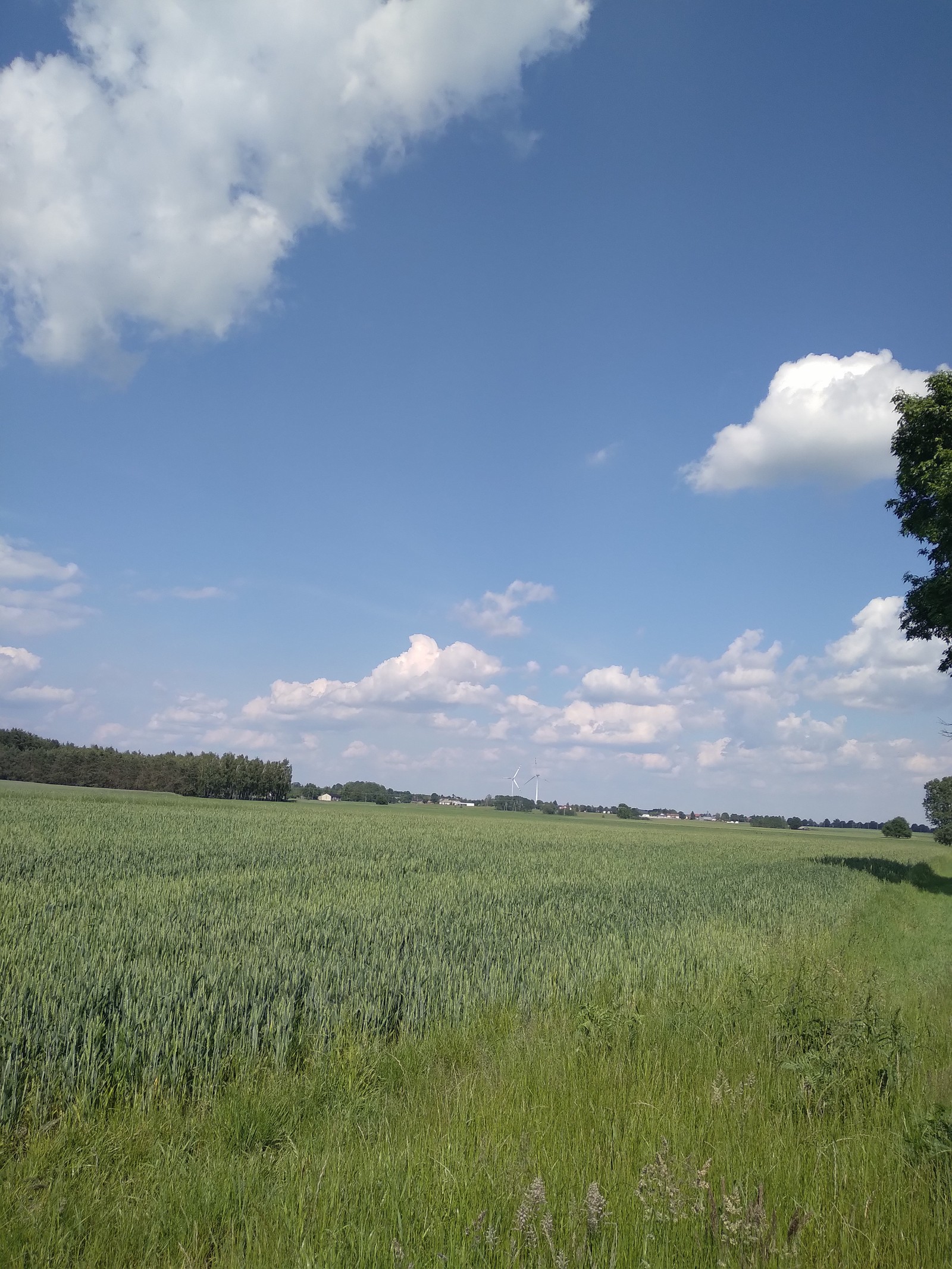 Photo from 1601-01-01T01:00:00