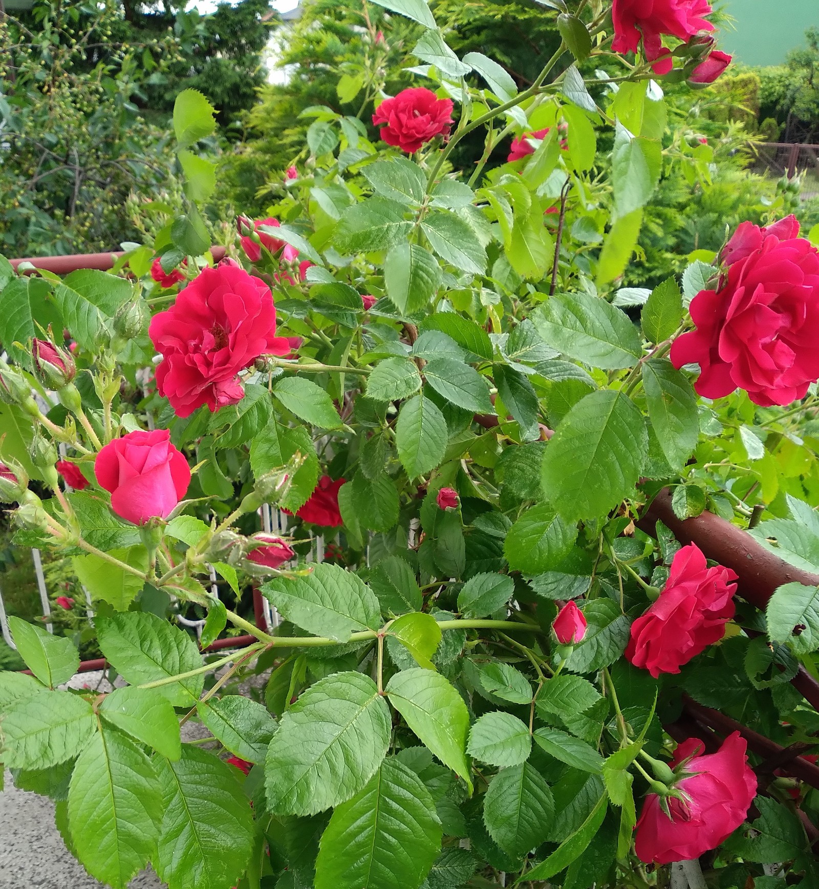 Photo from 1601-01-01T01:00:00