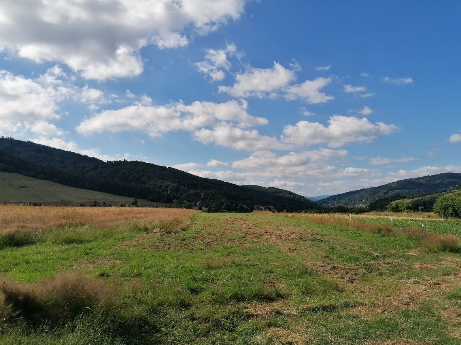 Photo from 2020-07-06T09:10:16.243000
