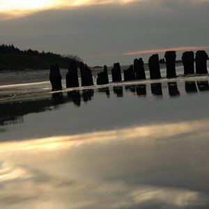 2006 Mrzezyno thumbnail