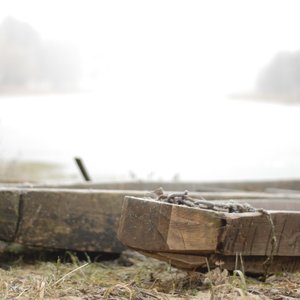 2007 Puszcza Biala thumbnail