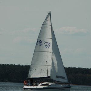 2007 zagle thumbnail