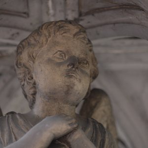 2009 Powazki thumbnail