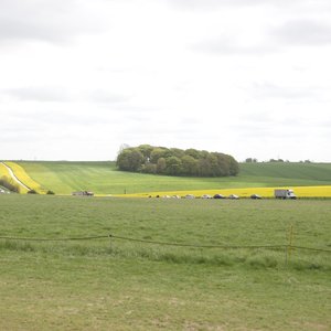 2018 Londyn thumbnail