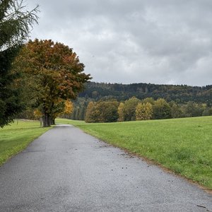 2025 Pasterka thumbnail