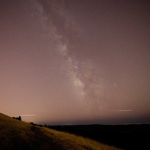 NIGHT SHOTS thumbnail